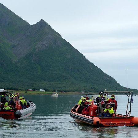 Leilighet Med Fantastisk Utsikt Henningsvær Buitenkant foto